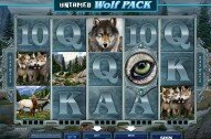 Untamed Wolf Pack